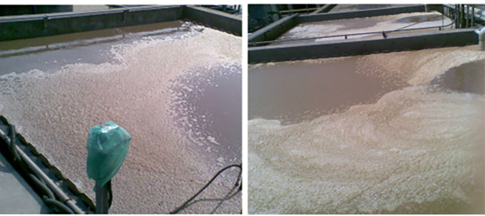 高含氮廢水處理技術(shù)解決方案處理效果