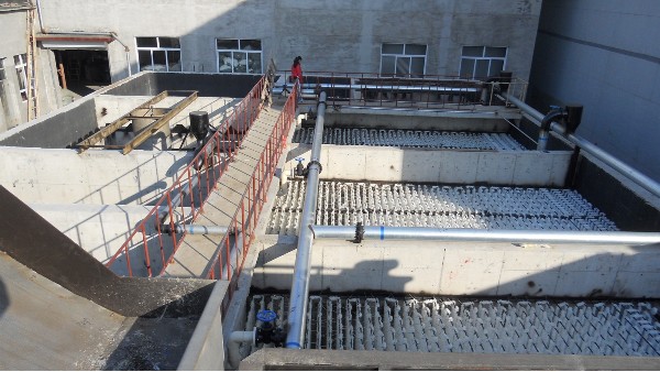 河北安新某洗絨廠脫氮填料案例