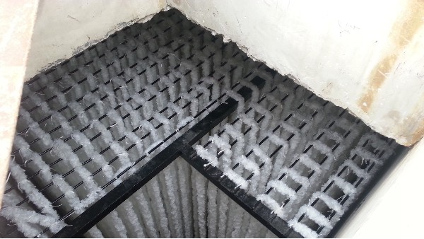 河北邯鄲某牧業(yè)公司填料案例